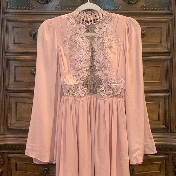 NWT $300 Free People Divine Mini Dress Rose Lace 4 - Picture 7 of 16
